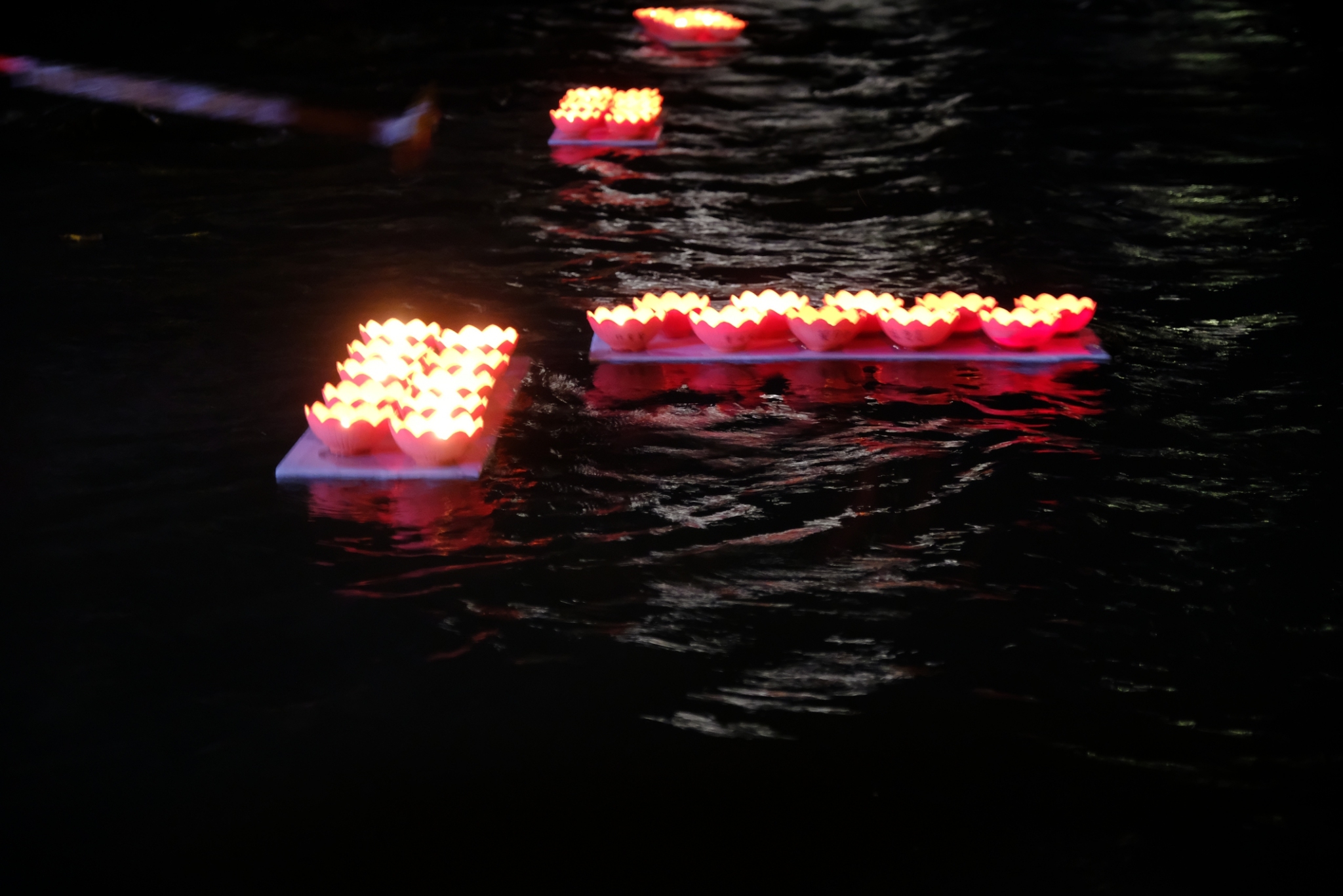 中和廣濟宮、福和宮於秀朗橋下施放由魚飼料製成的蓮花水燈，兼顧傳統且環保。